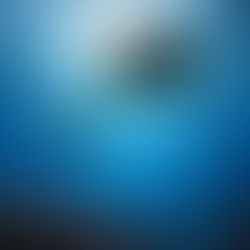 Two sea turtles swimming in clear blue ocean, sun rays penetrating water. Colorful fish and coral in vibrant underwater scene.