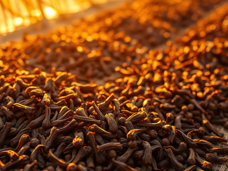 Cloves drying in warm sunlight, spread across a woven mat. The golden glow enhances the rich brown tones, creating a warm, rustic scene.