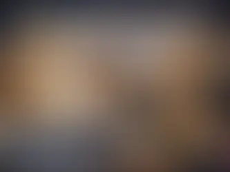 Expert witness reviewing construction documents in Vancouver