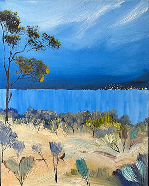 Main Beach looking towards Pambula