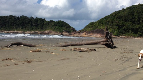 Praia do Arpoador .png