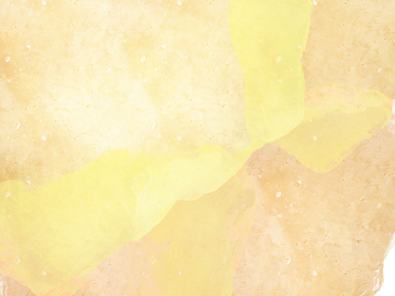 Untitled_Artwork 5.jpg