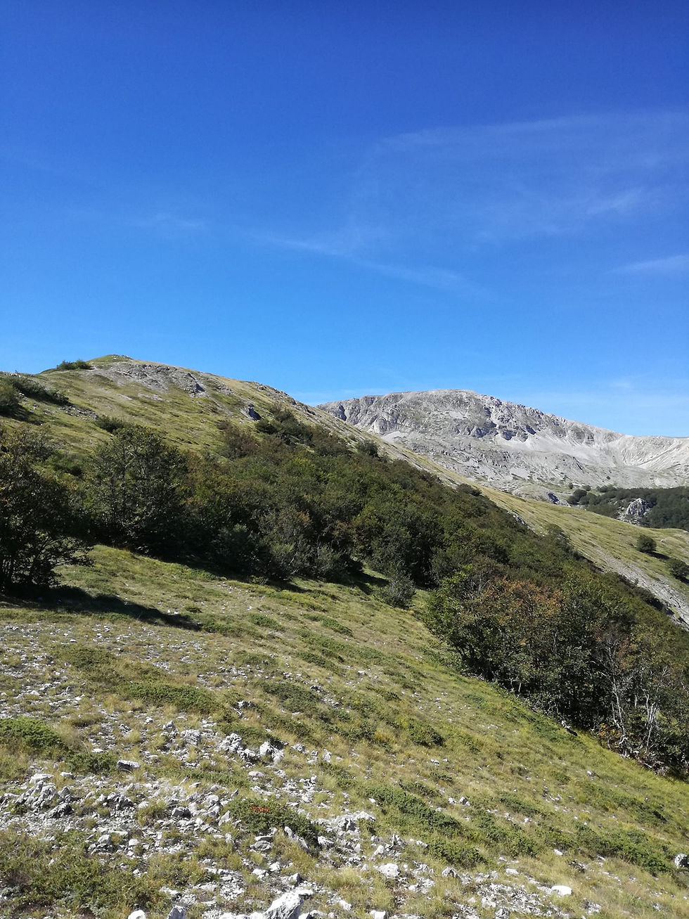Il monte Magnola e il monte Sentinella