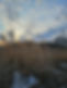 frozen beach grass_8×10,6×4.jpg