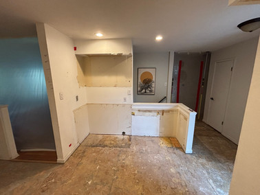 Kitchen remodel CO