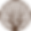 boom.png