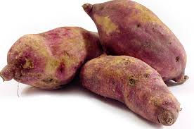 CAMOTE.jpeg