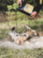 Thumbnail: 18K Liquid Gold