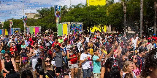 Resultado de imagem para CARNAVAL DE BRASILIA CARTEIRINHA CRIANÇAS