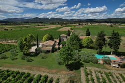 Vignoble