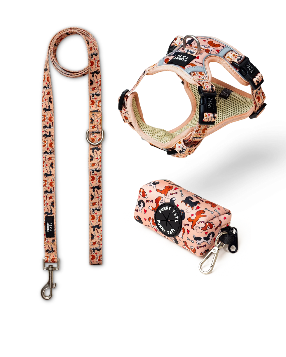 3 PIECES CAVALOVE DOG BUNDLE