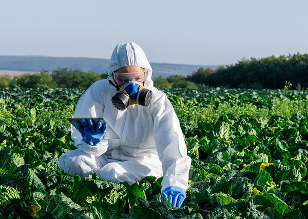 Toxicologia Regulatória