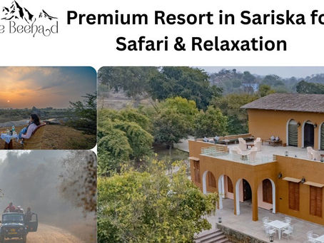 Premium Resort in Sariska for Safari & Relaxation