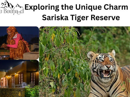 Exploring the Unique Charm of Sariska Tiger Reserve