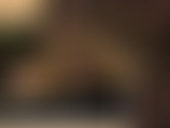 From Wildlife to Worship: What Makes Sariska Stand Apart