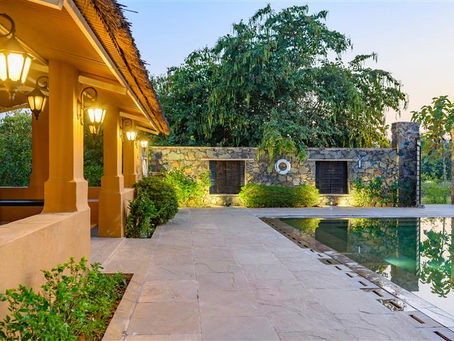 What to Expect from a Resort Stay in Sariska?