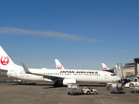 2月に入りました