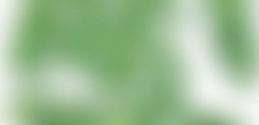 Earth Day Merchandise (ft. The Knotted Gun)