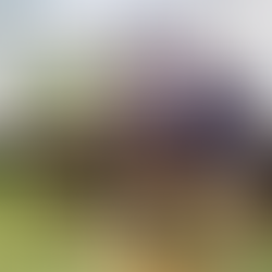 YOD 12 (Year of Dedication)