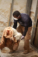 Denver, CO Flood Relief