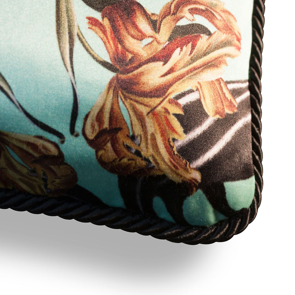 Thumbnail: SKUNK SILK AND VELVET CUSHION