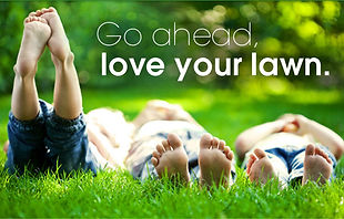 Lawn Maintenance Rochester NY