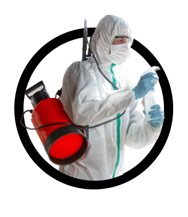 JLG NET SERVICES nettoyage décès crime Pertuis (84120)