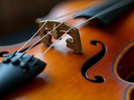 The Fascinating Evolution of the Violin Through History