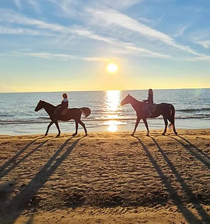 passeggiate a cavallo.jpeg