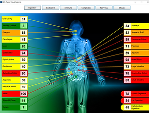Qi5 Physio Visual Reports 1_3_2021 6_18_24 PM (1).png