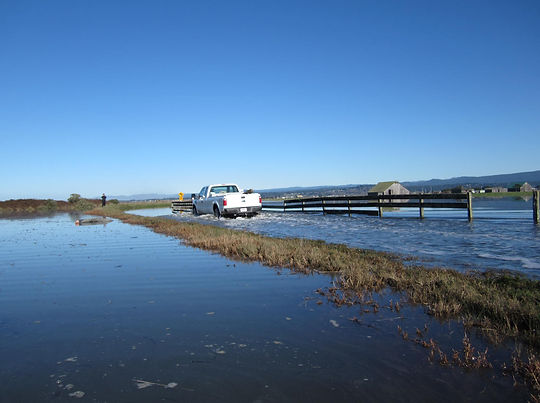 HalsteadJacksonRanchRd212-13-12.JPG