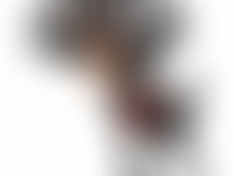 הכירו אותם מקרוב, הכלבים הכי חזקים בעולם