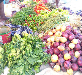 diversification agricole et Dev Econ_edited.jpg