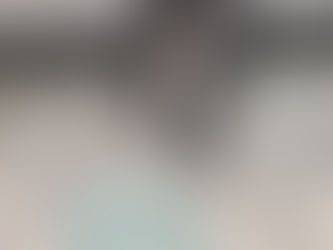 Bifeaw Slow Feeder Dog Bowl Review — My Honest Thoughts