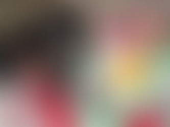 Christmas Dog Toy Bouquet Review — Festive, Fun & Perfect for Pups