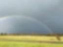IMG_6319.jpeg