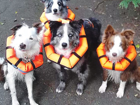 Personal Flotation Devices