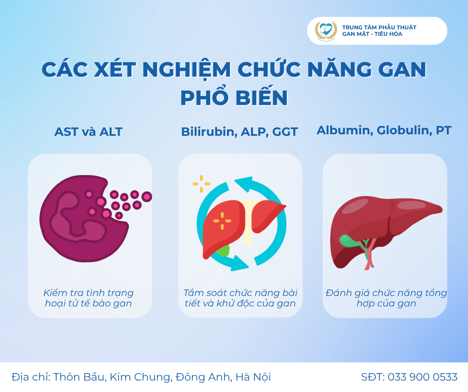 Các xét nghiệm chức năng gan phổ biến