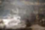 DSC_4877_1.jpg
