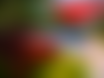 Retreat to Tranquility: The Tuki Tuki Lodge in Samara, Costa Rica