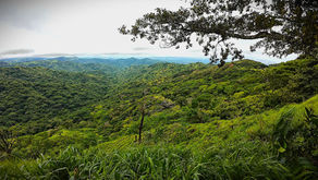Exploring the Enchantment of Santa Elena, Costa Rica
