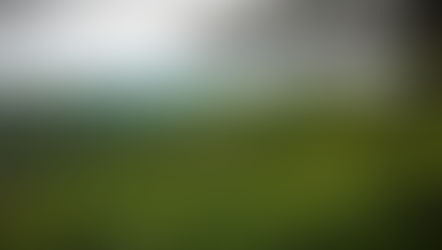 Exploring the Enchantment of Santa Elena, Costa Rica