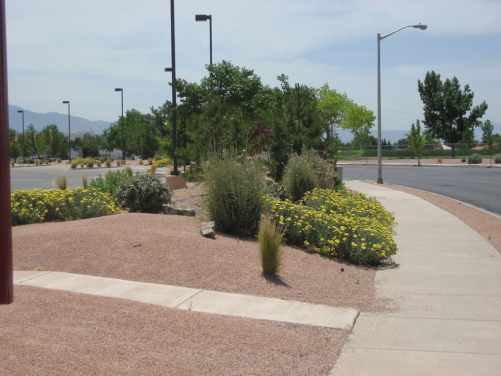 PHOTOS HIGH RESORT BLVD 010