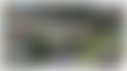 Click Academy Annual Tour 2025: KURSEONG