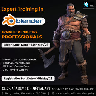 Expert Training in Blender