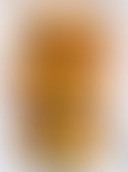 Paneer Tikka Skewers