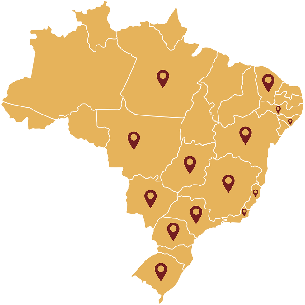 Post para instagram viagem estados do brasil mapa bege (1).png