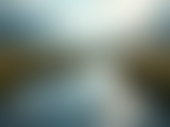 Liderança Eficaz em Tempos de Mudança