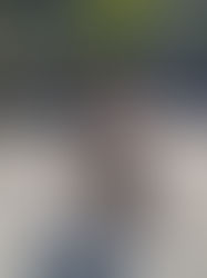 Como a habilidade de se comunicar em inglês muda nossa vida