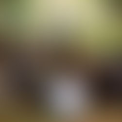 Últimos dias: students mobilizados pela bolsa de intercâmbio e mais um ano de curso online gratuito